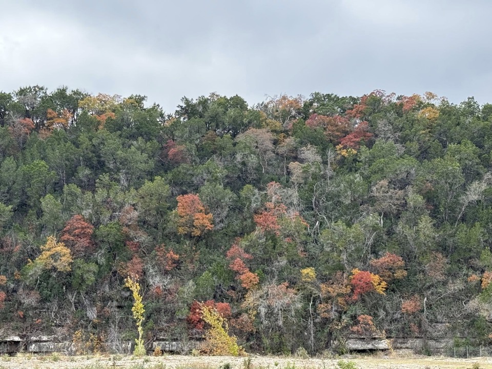 Sandy Creek hillside in fall colors near Nameless, Texas